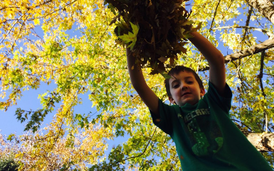 Chores + Kids = Fun!